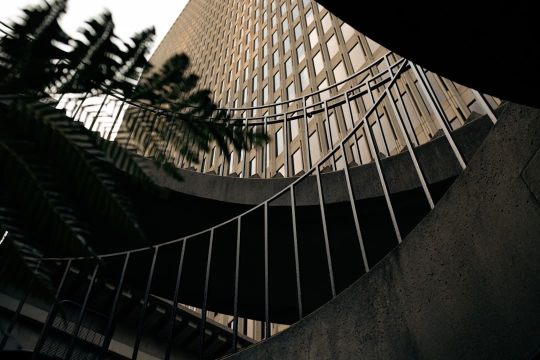 宋佳佟丽娅电影《轻于鸿毛》七夕定量点映 带上姐妹一同高兴动身